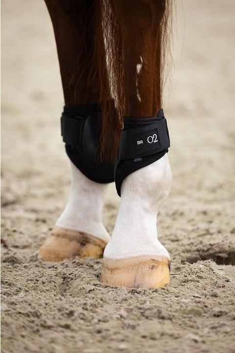 Produktbild BR Equestrian Equipment XO2 (XL)