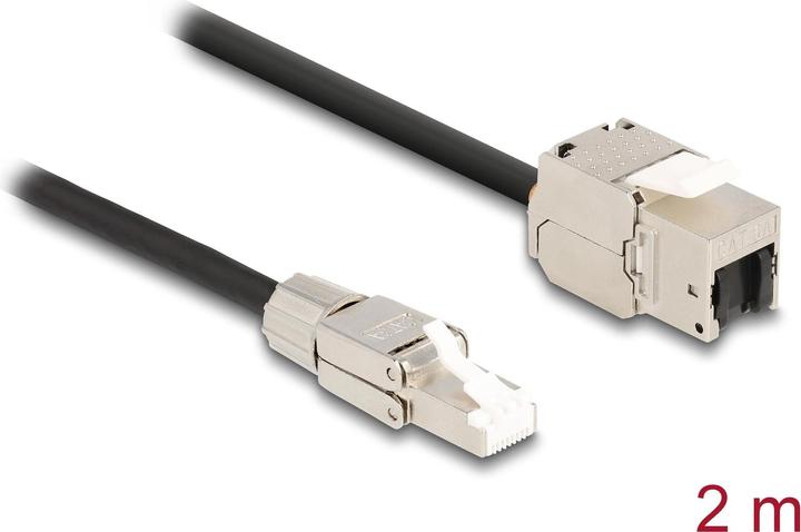 Immagine prodotto Delock Cavo RJ45 collegabile in campo (S/FTP, CAT6a, 2 m)
