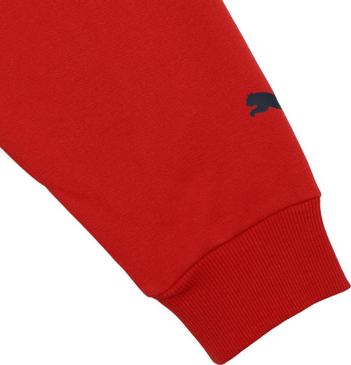 Actual product image Puma Hoops x E.T. Hoodie (L)