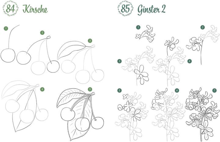 Immagine prodotto Disegna 300 motivi - Botanica