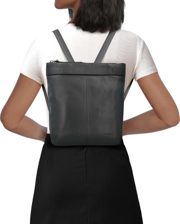 Picard Lotta (10 l)