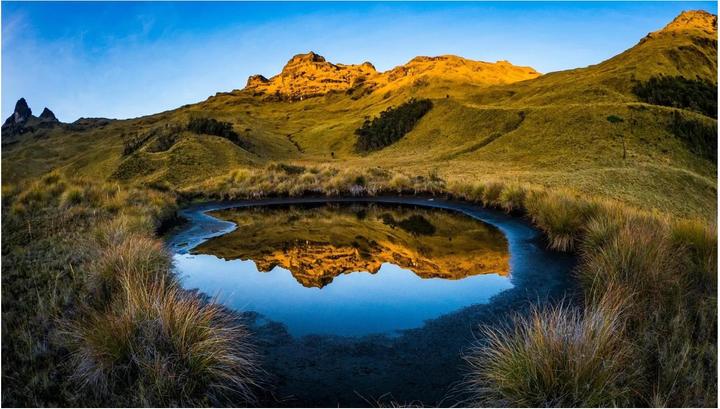 Productafbeelding Olympus OM System m.Zuiko PRO 8mm F1.8 FishEye (Micro Vier Derde, Micro Vier Derde)