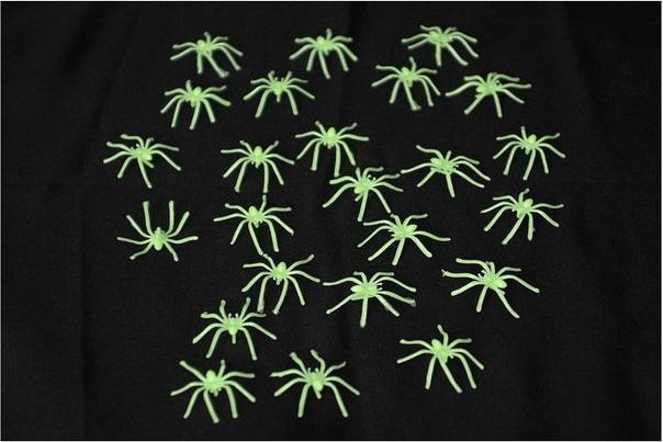 Actual product image Körner Spiders Halloween decoration 24 pieces Glow in the Dark (24 Piece)