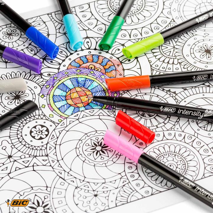 Actual product image Bic INTENSITY MEDIUM - Fine pen (12x)