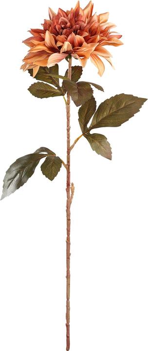 EGLO Semporna (660 cm)