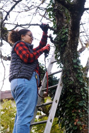 Actual product image Felco 939 Fasteners