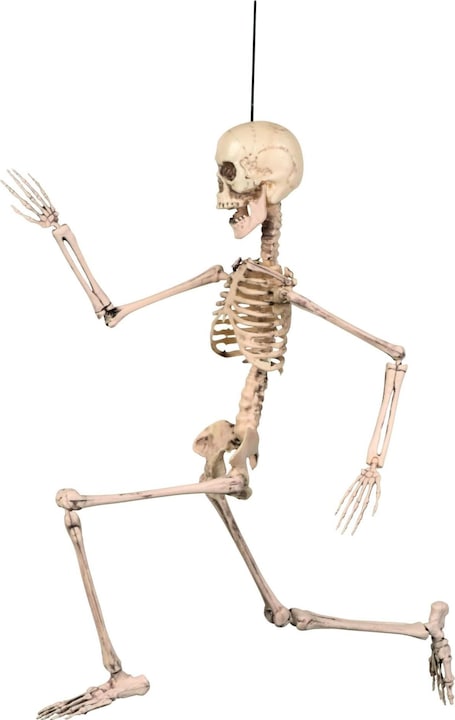 Actual product image Fasnacht Movable skeleton