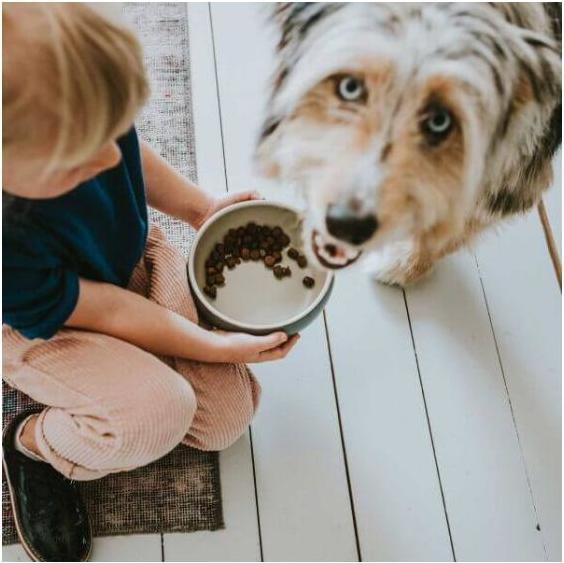 Produktbild Hunter Lund (110 cl)