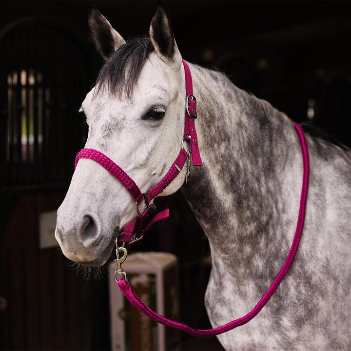 Produktbild Horze Chicago