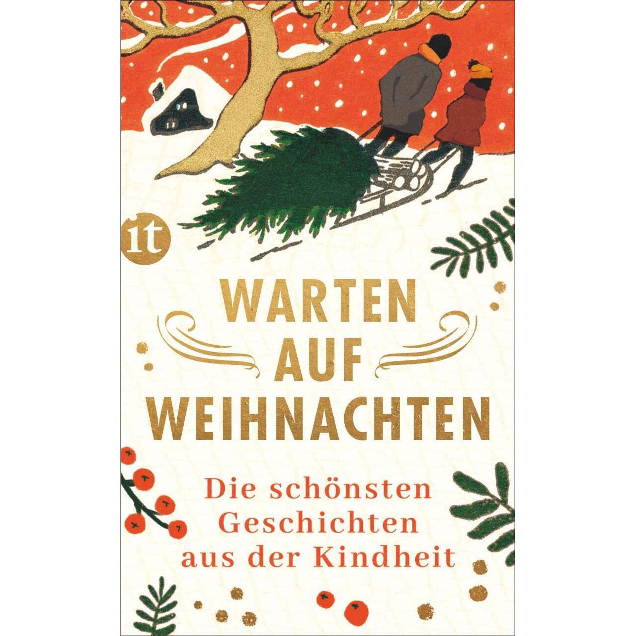 Warten auf Weihnachten, Belletristik von Gesine Dammel