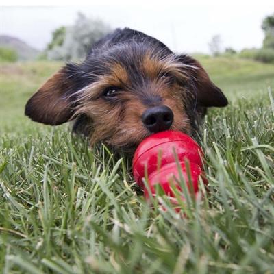 Image du produit KONG Pâte de foie farcie et farcie (Sac à friandises pour chien)