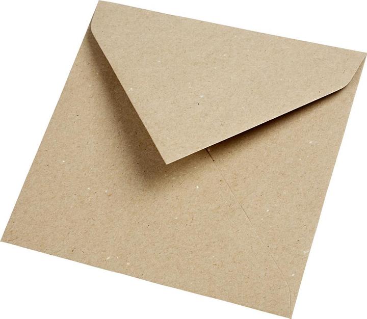 Immagine prodotto Focus Home Interactive Busta 160x160 Marrone 120g 50pz (16 x 16 cm, 50 x)