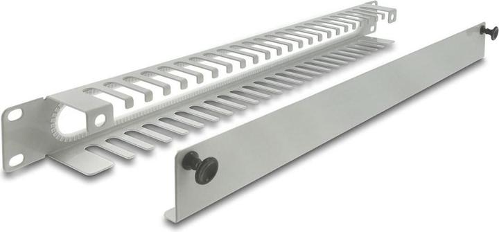 Actual product image Delock 19 1 U cable management patch panel with opening and edge protection grey