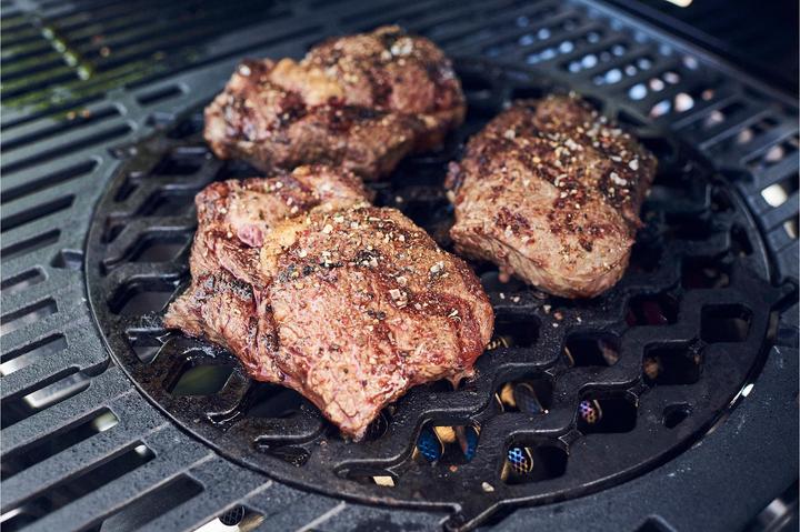 Produktbild Enders Switch Grid Sear Grate