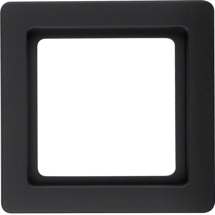 Actual product image Berker Frame