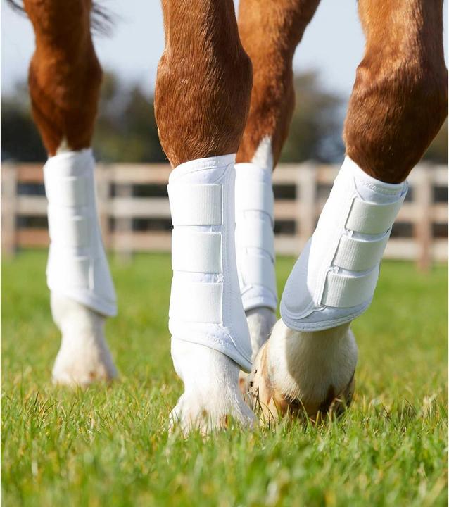 Produktbild Premier Equine Carbon Airtech Arbeitsgamaschen (L)