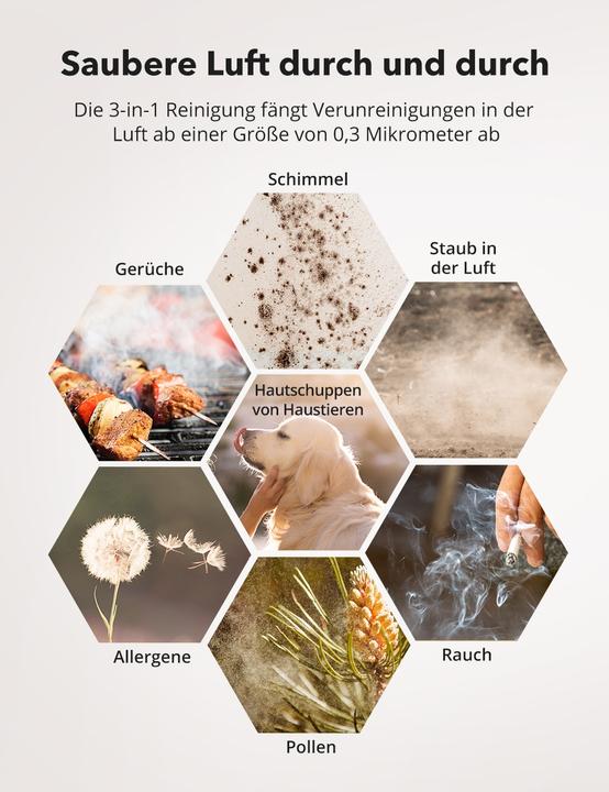 Produktbild Taotronics TT-AP001 Luftreiniger (20 m²)