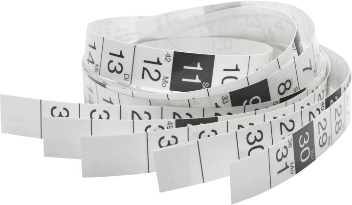 Actual product image Magnetoplan Magnetic calendar strips