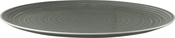 Produktbild Seltmann Terra Pizzateller (1 x, 31.50 cm)