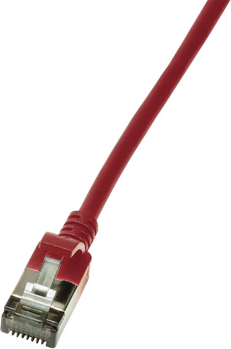 Rot