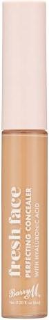 Actual product image Barry M Fresh Face (Perfecting Concealer) 7 g - Shade: 6 (6)