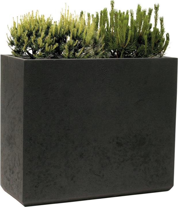 Immagine prodotto Kirschke Rockline (31 cm)