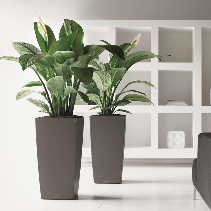 Actual product image Lechuza Cubico (39.50 x 39.50 x 75.50 cm)