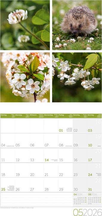 Image du produit Colours of Nature Kalender 2026 - 30x30 (30 x 30 cm, Couverture rigide, Français, Anglais, Italien)