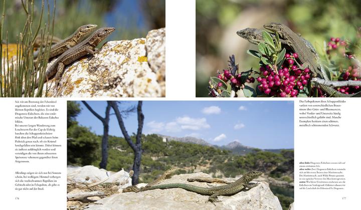 Produktbild Naturerlebnis Mallorca (Deutsch, Gaby Hufler, Norbert Daubner, 2014)