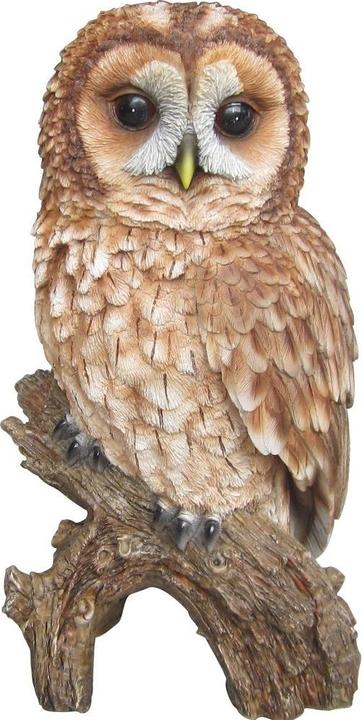 Produktbild PondParts Deko Eule auf Ast, klein