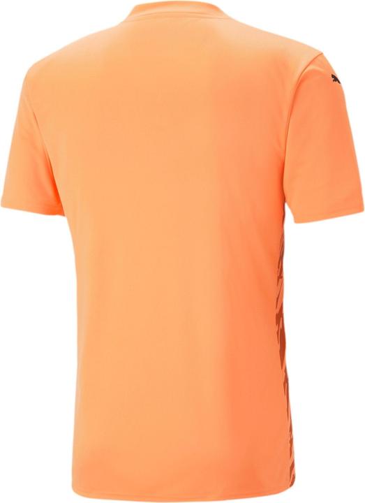 Actual product image Puma teamULTIMATE Jersey (S)
