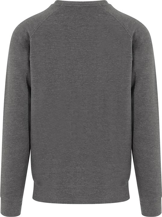 Immagine prodotto Awdis Felpa pesante Just Hoods Graduate (XL)