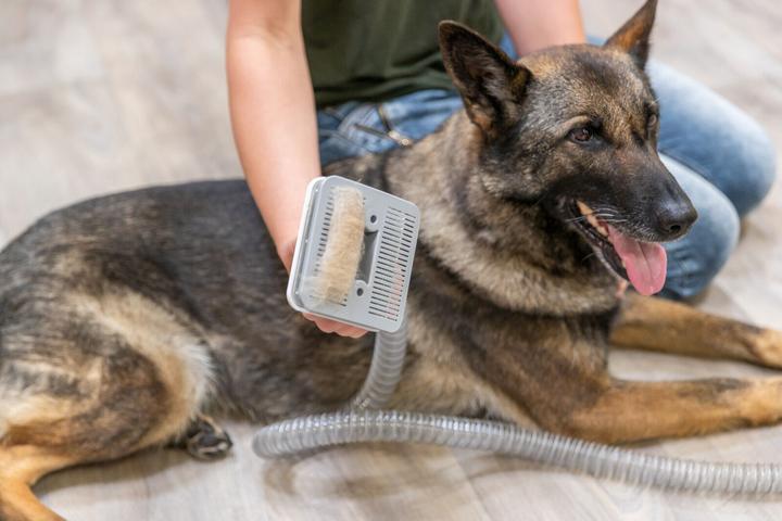 Immagine prodotto Trixie Set di tosatrici con aspirapolvere per pellicce (Cane)