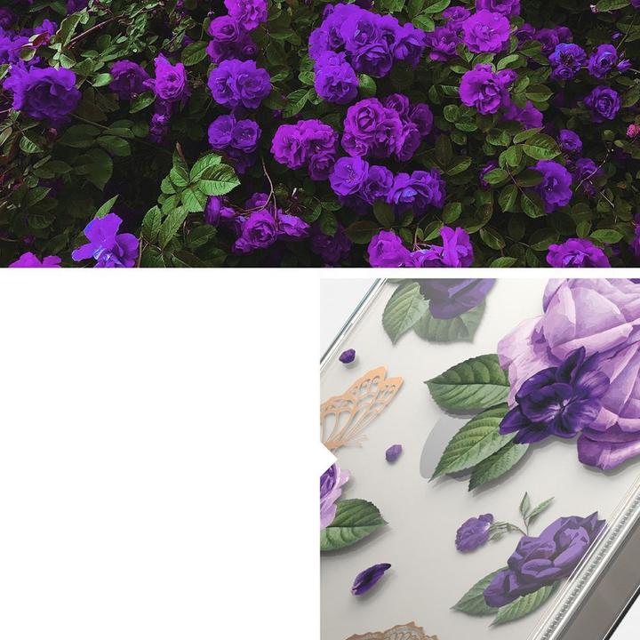 Actual product image Ringke Fusion Design Armored Case Cover with Gel Frame for iPhone 14 Plus transparent (Purple rose) (Apple iPhone 14 Plus)