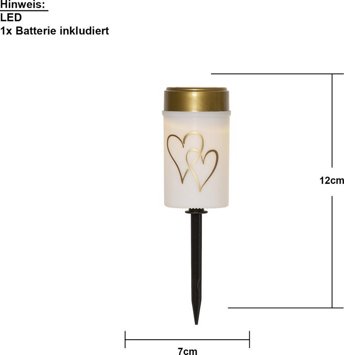 Actual product image Star Trading Hearty