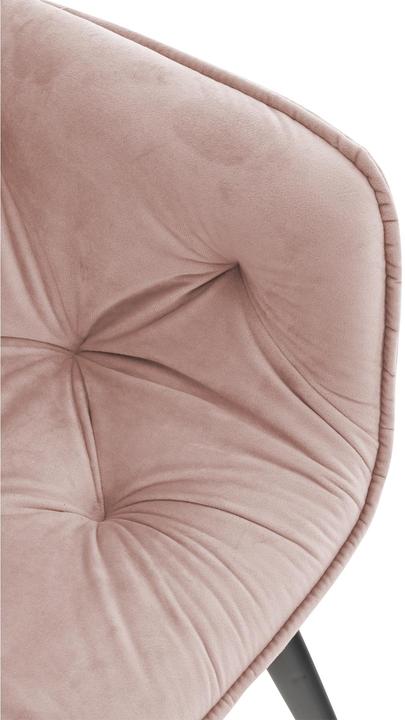 Image du produit CLP Tanna Samt