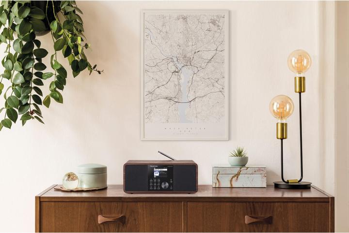 Actual product image Telestar Dira S24i (Web radio, DAB+, FM, Bluetooth, Wi-Fi)