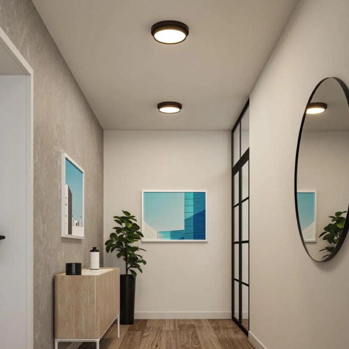 Actual product image Paulmann Malik ceiling light (850 lm)