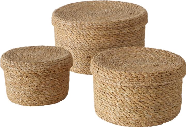 Actual product image Boltze Home Sophy (3 x)