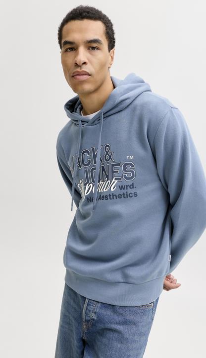 Produktbild Jack & Jones JJELOGO SWEAT HOOD 2 COL 25/26 NOOS (XL)