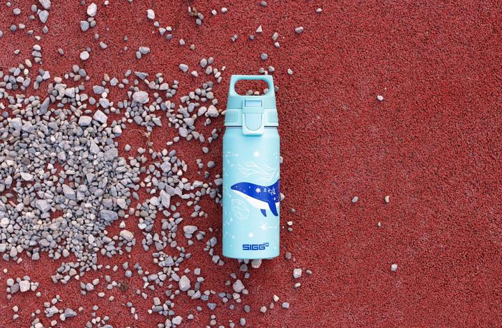 Produktbild Sigg WMB One (0.60 l)