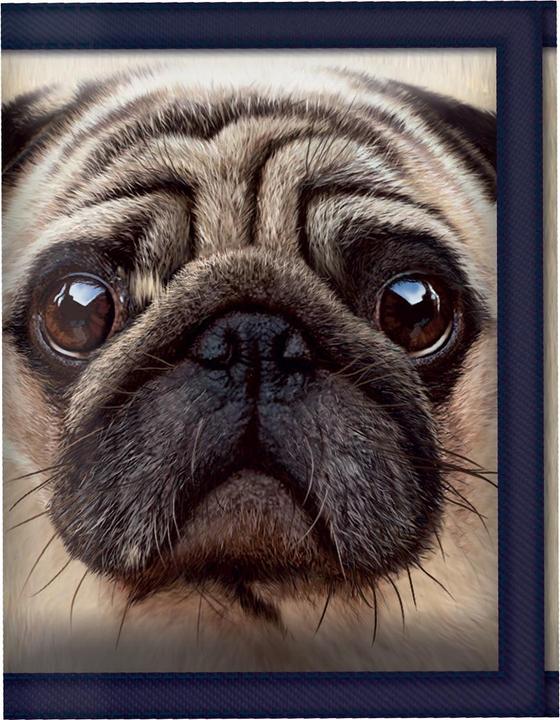 Actual product image LiveLife 3D D Geldbörse Mops