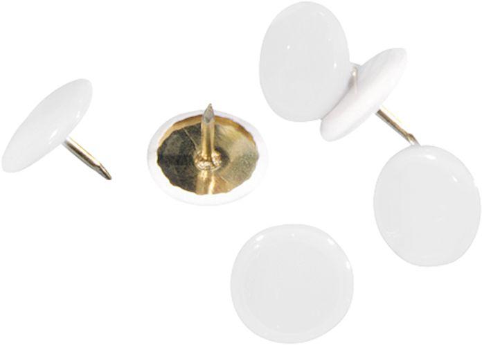 Actual product image Alco Tear nails with celluloid head (100 Piece, 20 mm)
