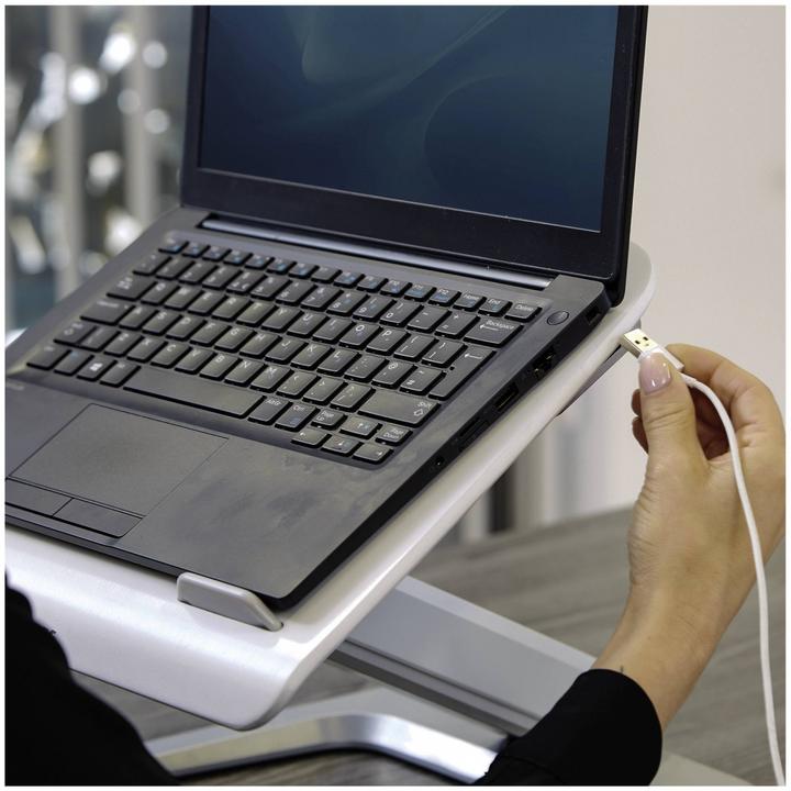 Immagine prodotto Fellowes Hana