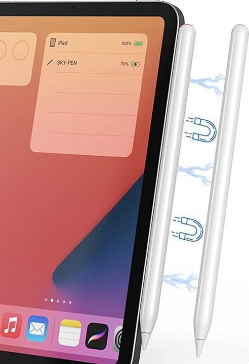 Actual product image eSTUFF iPad Stylus Pen. Magnetic and
