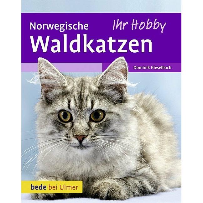 Norwegische Waldkatzen, Ratgeber von Dominik Kieselbach