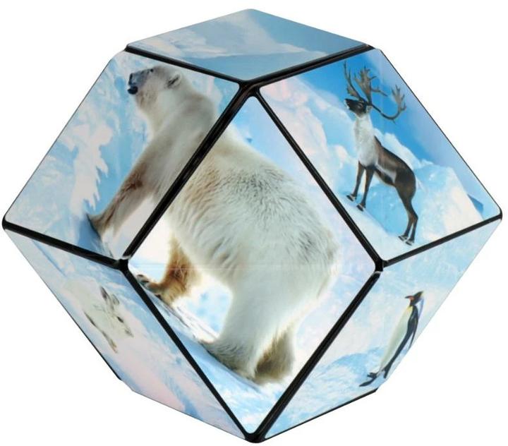 Produktbild Shashibo Cube Arctic