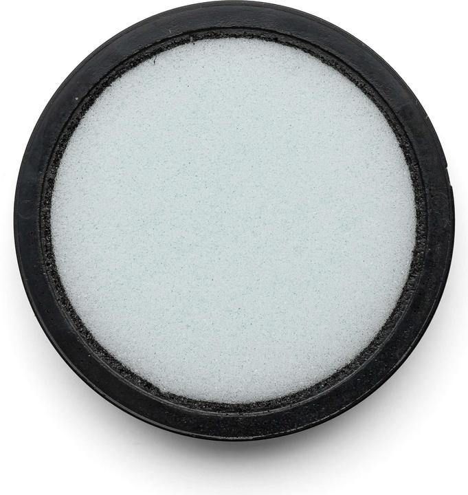 Actual product image Flickbee Foam filter for Philips Power Pro hoover replaces CP9985/01, FC5007/01