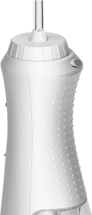 Immagine prodotto Waterpik WP-490
