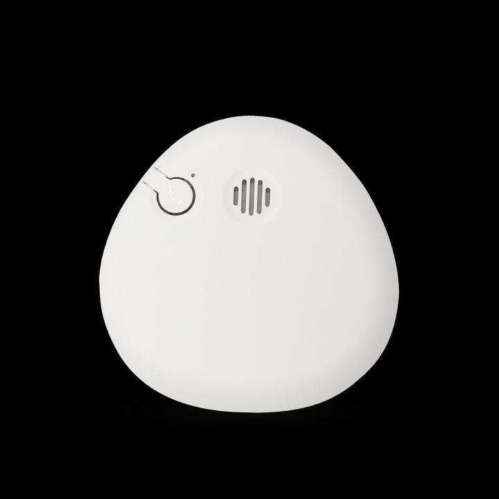 Immagine prodotto GP Batteries HOUSEGARD SA401S